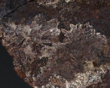 Seamanite